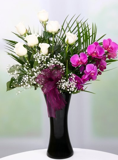 Mor Orkide ve Beyaz Güller