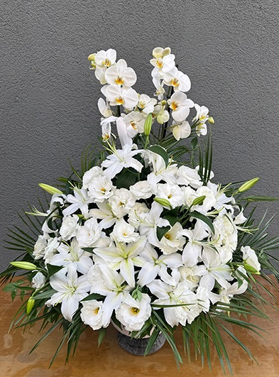 Özel Orkide Serisi 12