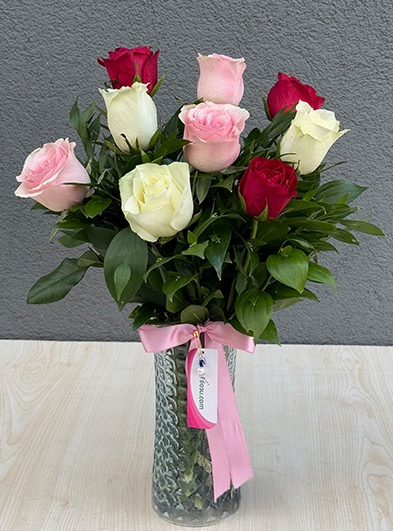 Renkli Gül Serisi 1 -11